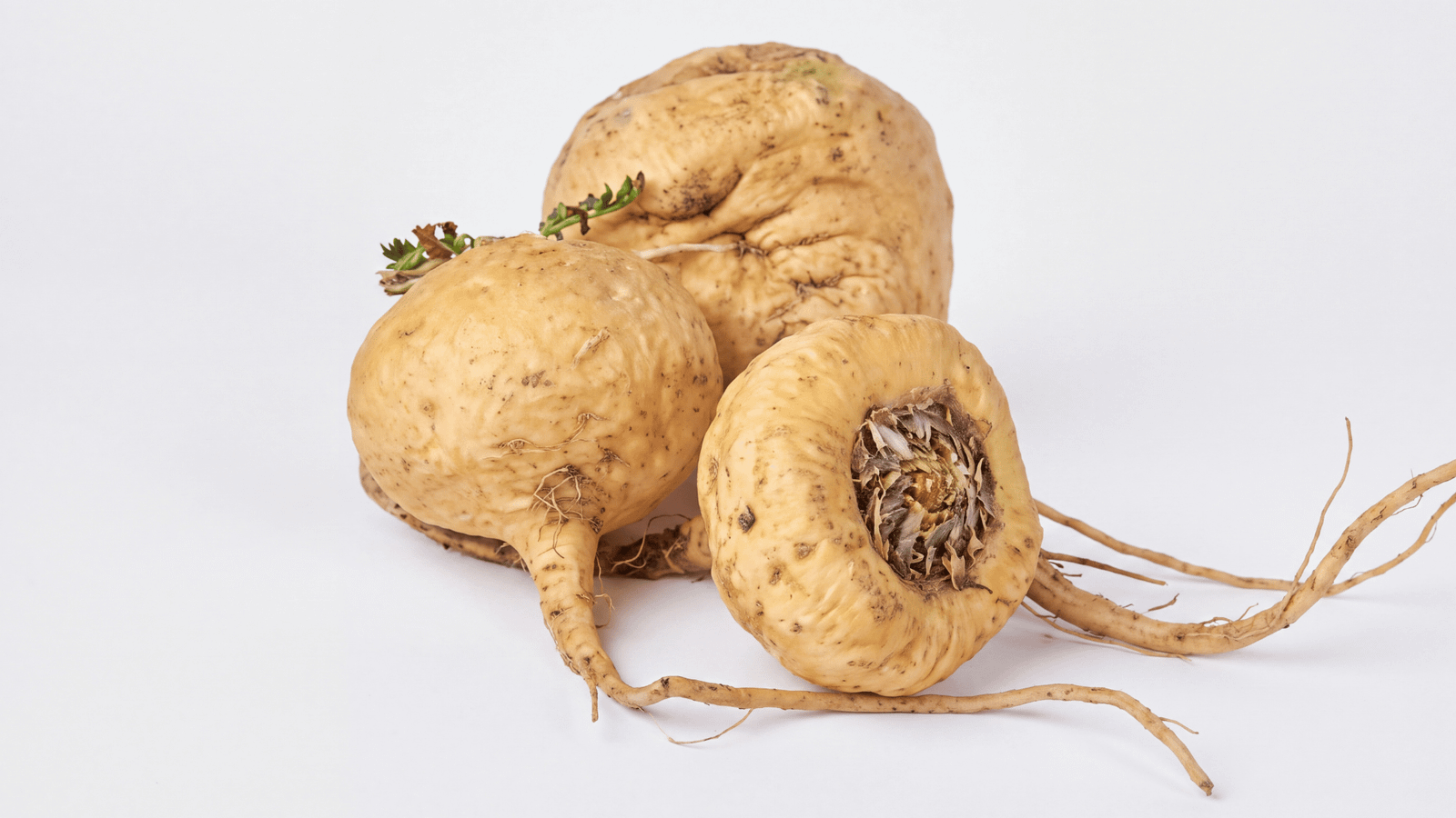 Maca root extract ingredient representation