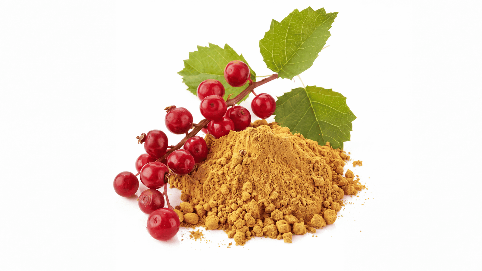 Schisandra fruit extract ingredient representation