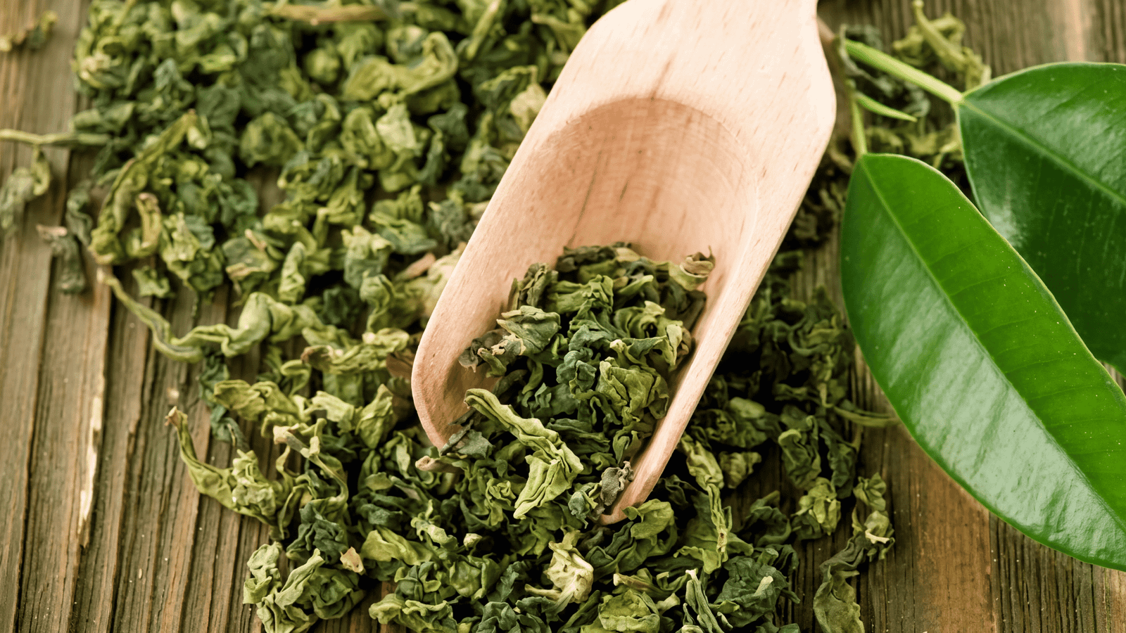 Illustrative green tea ingredient image