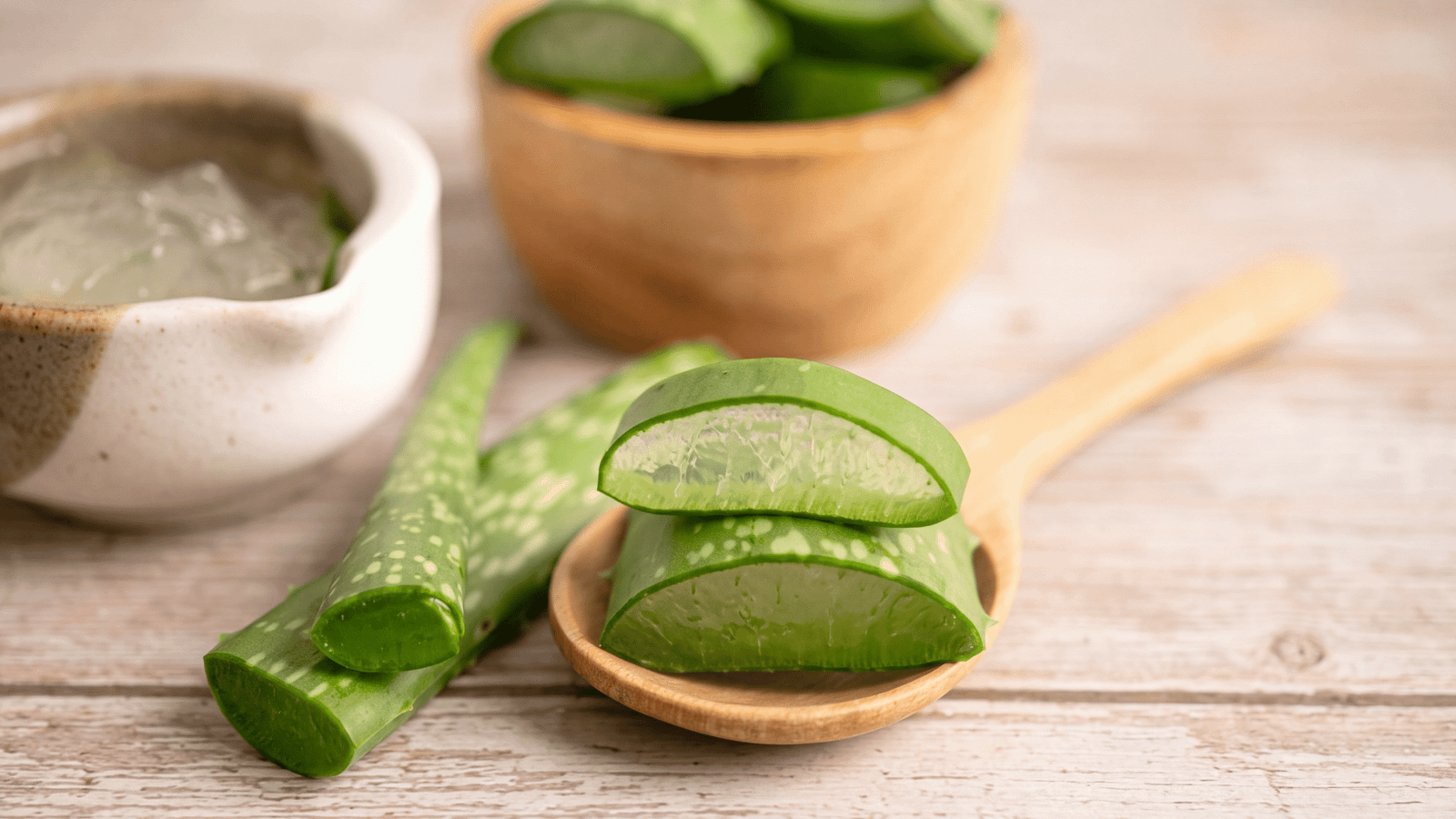 Illustrative aloe vera image