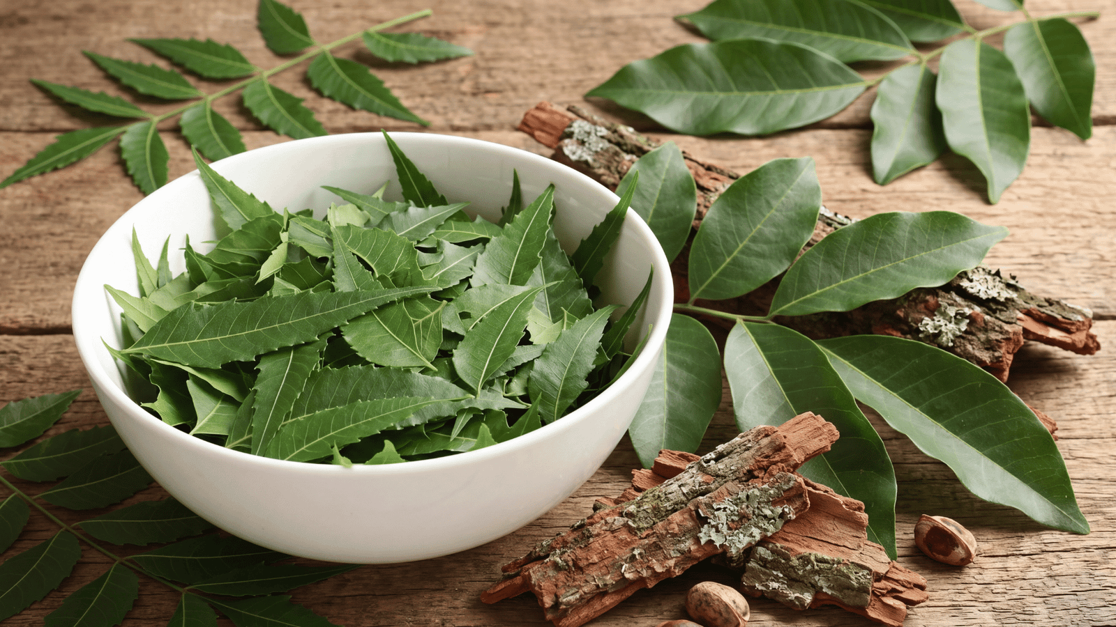 Illustrative neem leaves and bark