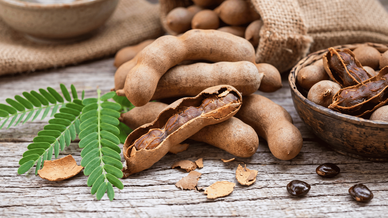 Illustrative tamarind fruit and leaves