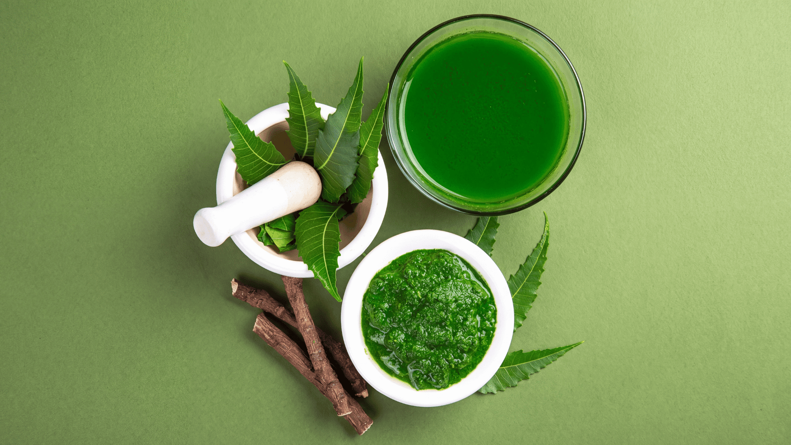 Illustrative neem ingredient image