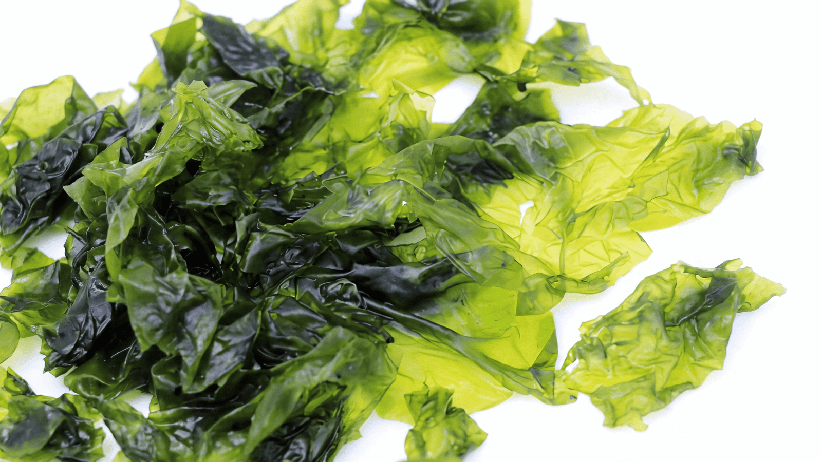 Illustrative nori yaki seaweed ingredient image