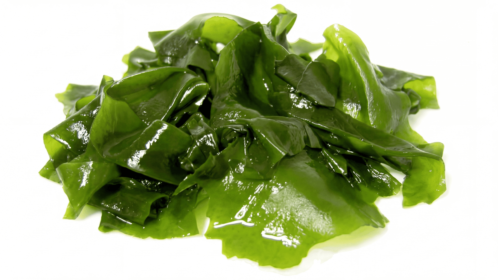 Illustrative wakame seaweed ingredient image
