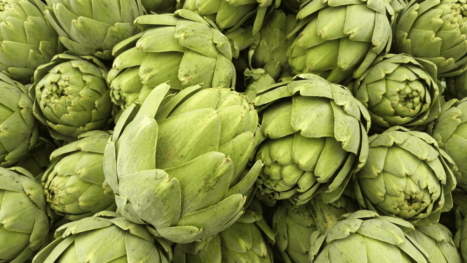 Illustrative artichoke extract ingredient image
