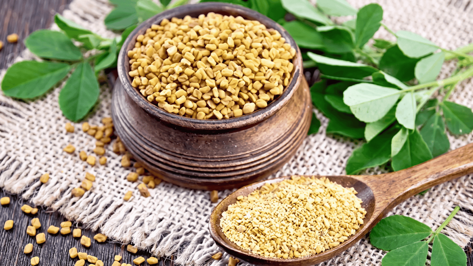 Illustrative fenugreek ingredient image