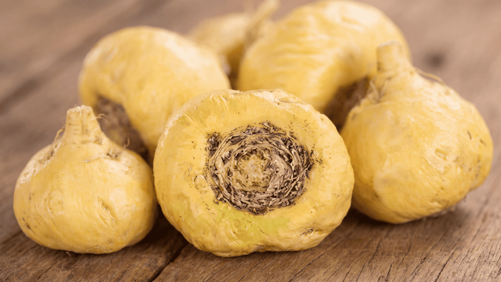 Illustrative maca root ingredient image