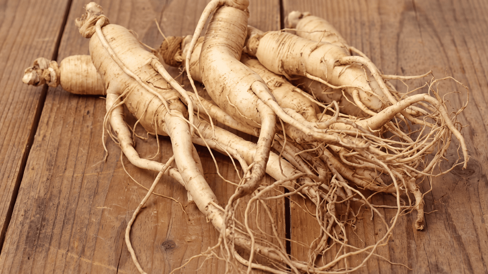 Illustrative Panax ginseng ingredient image