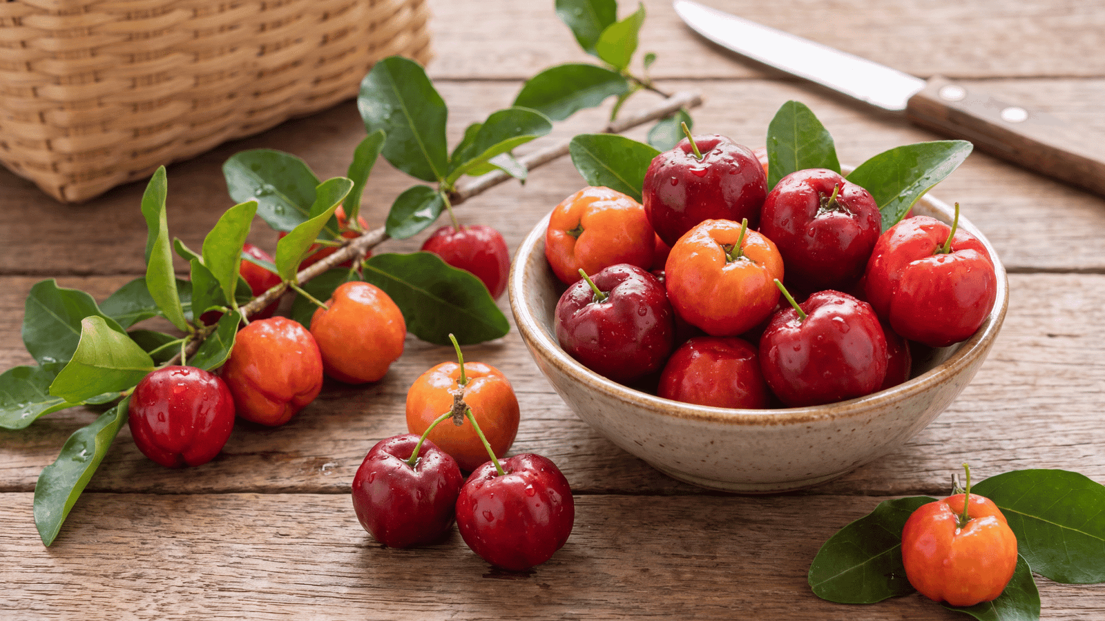 Illustrative Acerola ingredient photograph