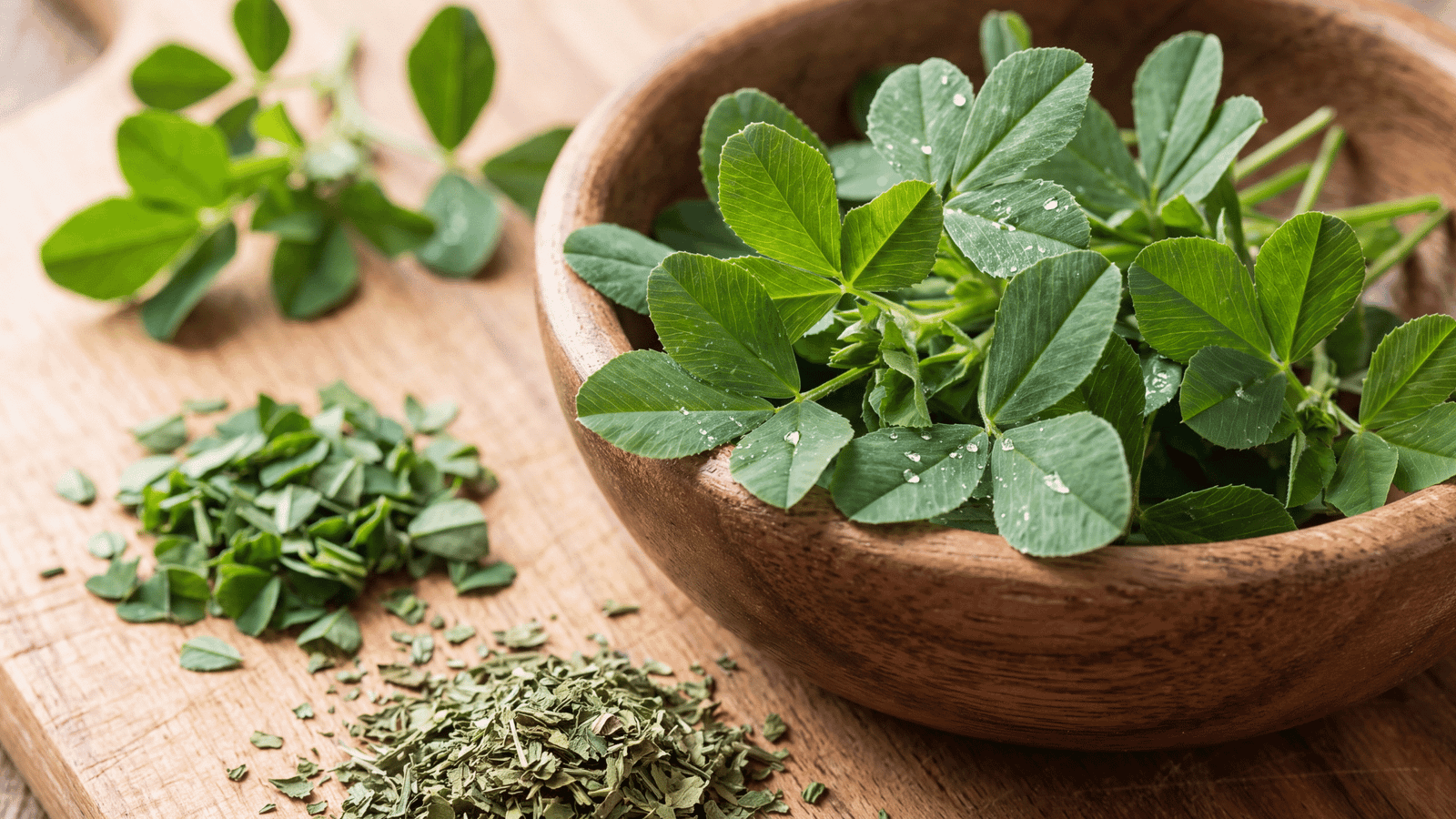 Illustrative Alfalfa Leaf ingredient photograph