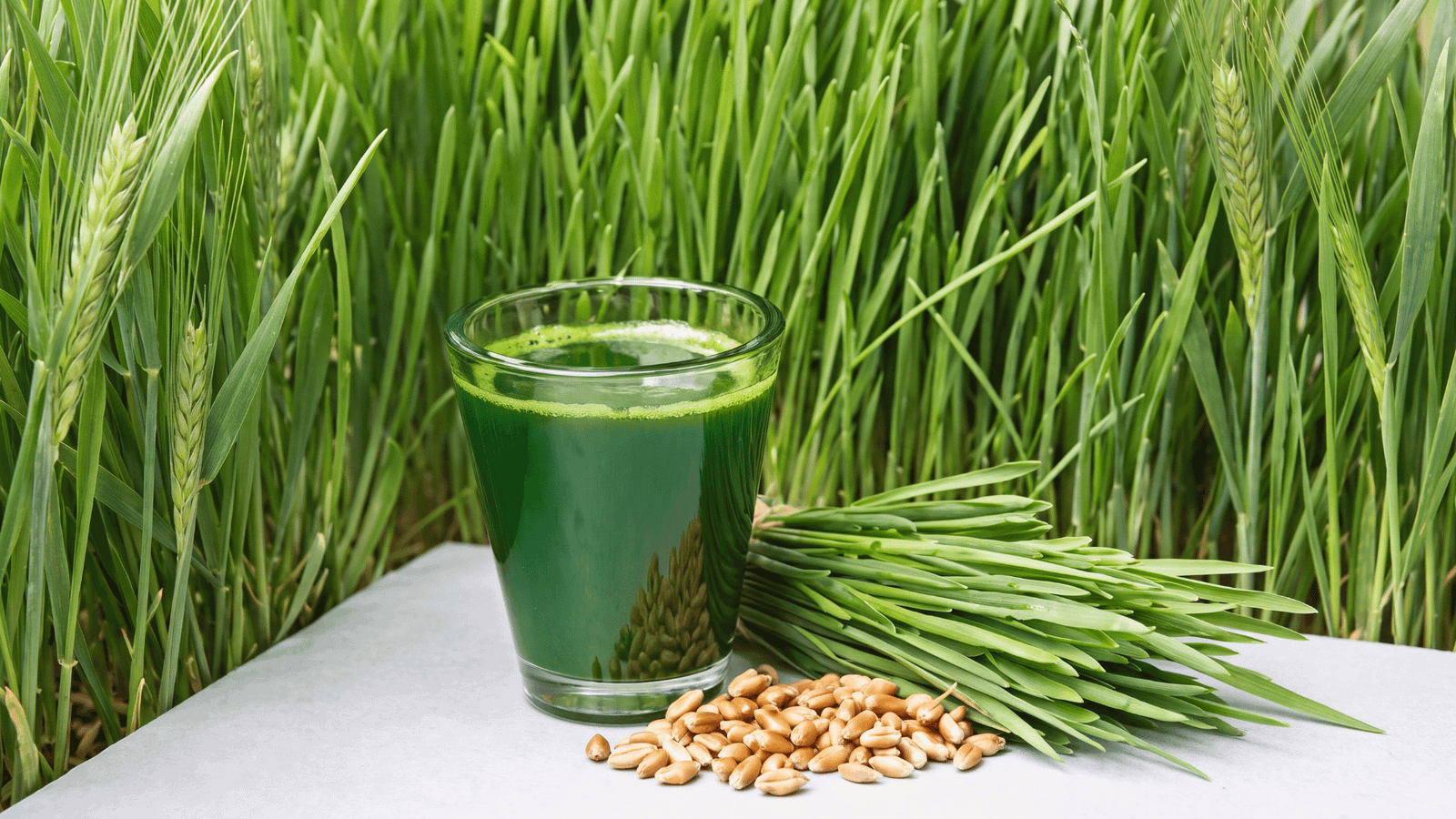 Illustrative Barley Grass ingredient photograph