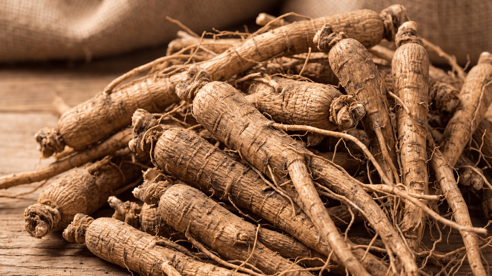 Illustrative Eleuthero Root ingredient photograph