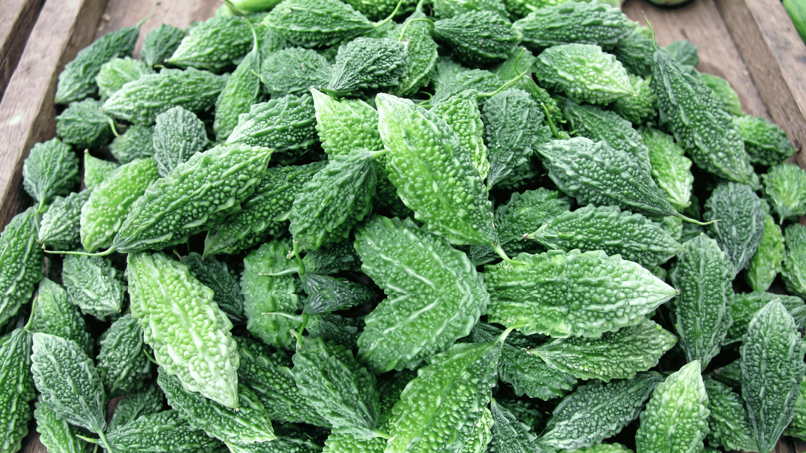 Illustrative Bitter Melon ingredient photograph