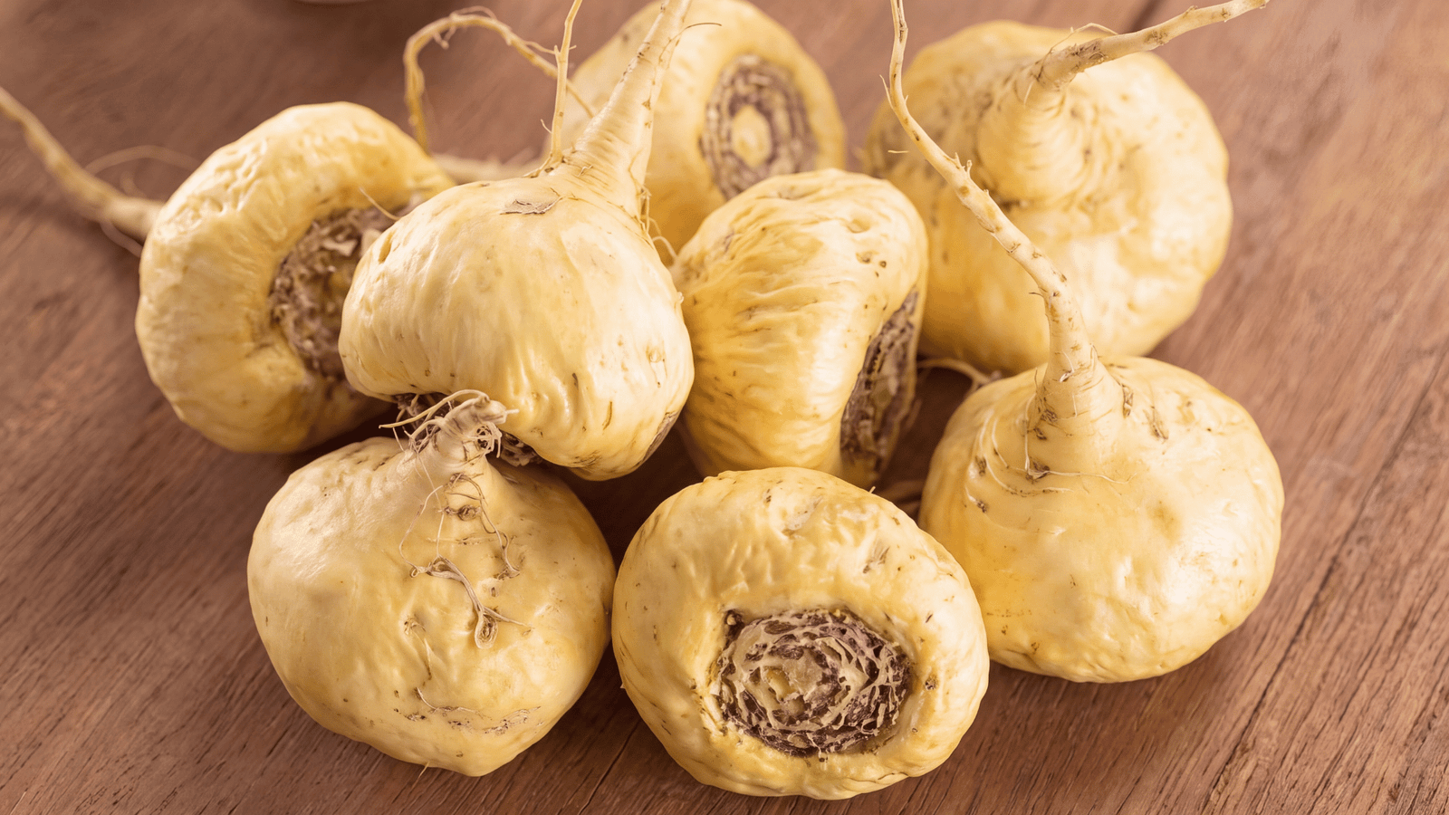 Illustrative maca root